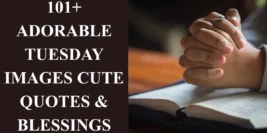 101+ Adorable Tuesday Images Cute Quotes & Blessings
