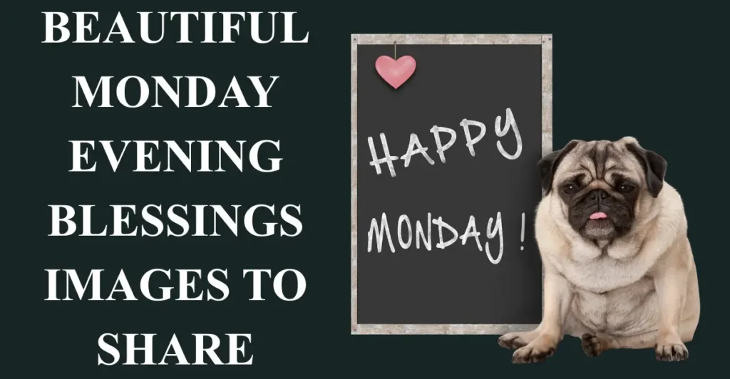 Beautiful Monday Evening Blessings Images to Share