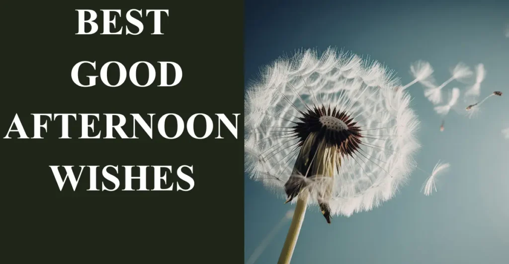 Best Good Afternoon Wishes