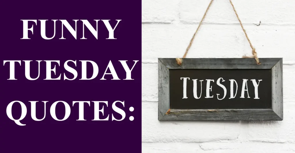 Funny Tuesday Quotes: