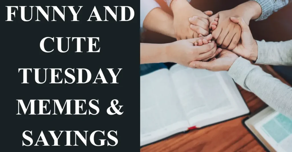 Funny and Cute Tuesday Memes & Sayings