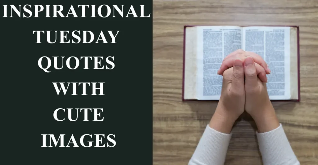 Inspirational Tuesday Quotes with Cute Images