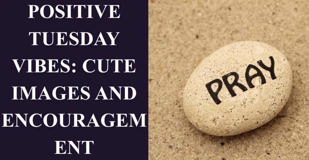 Positive Tuesday Vibes: Cute Images and Encouragement